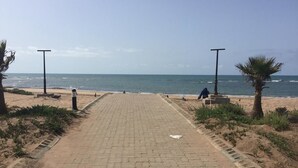 Un camino pavimentado que lleva a una playa con palmeras y farolas.