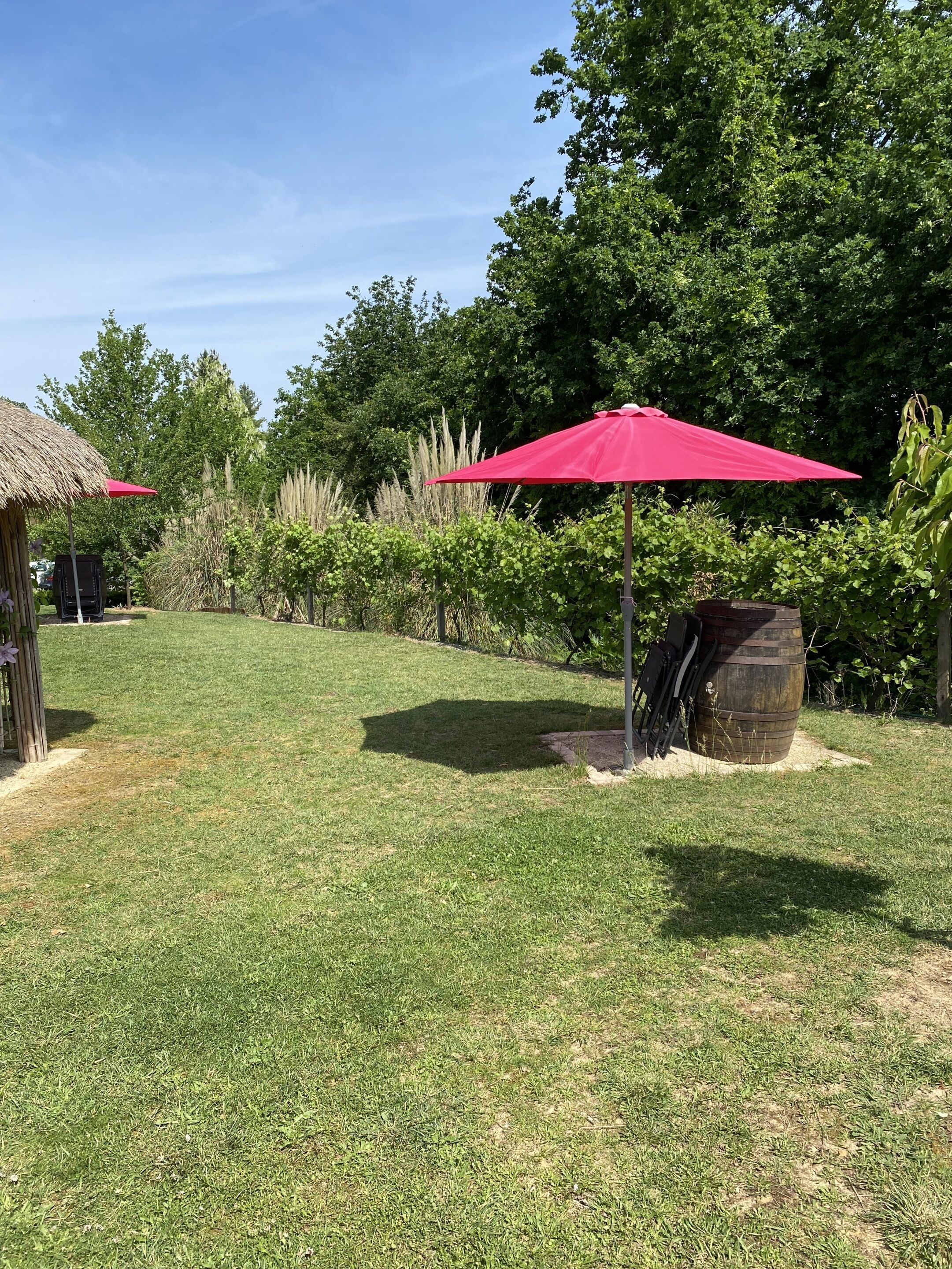 Jardin