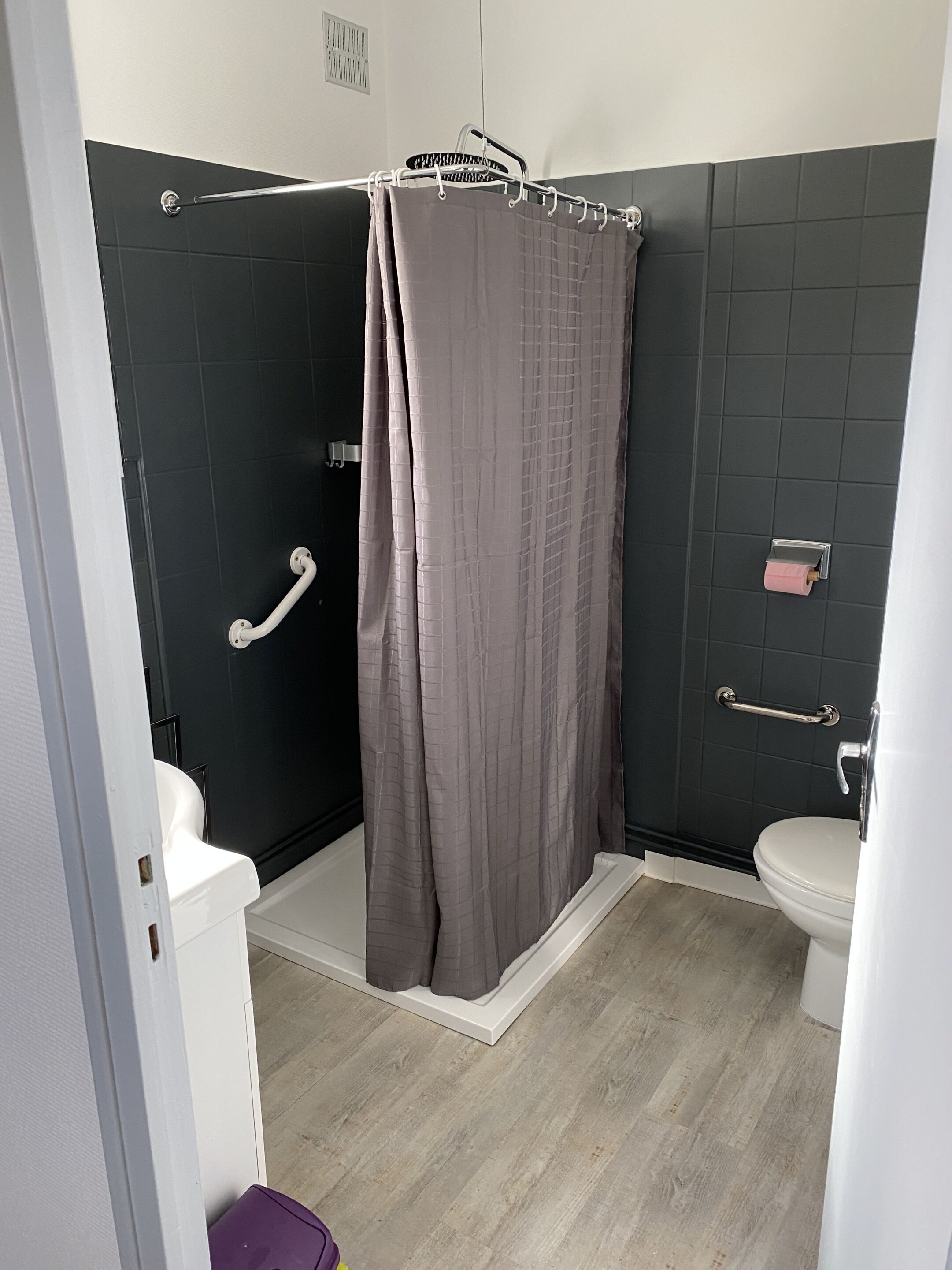 A bathroom with a shower, toilet, and grab bars.