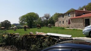 A stone building with a red-tiled roof, surrounded by a grassy field with cows grazing. - Hosteria Calixtino (Palas de Rei)