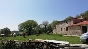 Jardines del alojamiento