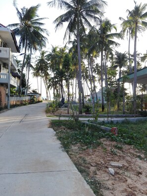 Garden - The House 17 1 (Phan Thiet)