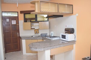 Premium Apartment, Non Smoking | Private kitchenette | Cleaning supplies