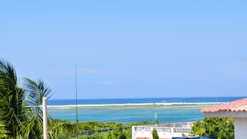 Beach/ocean view