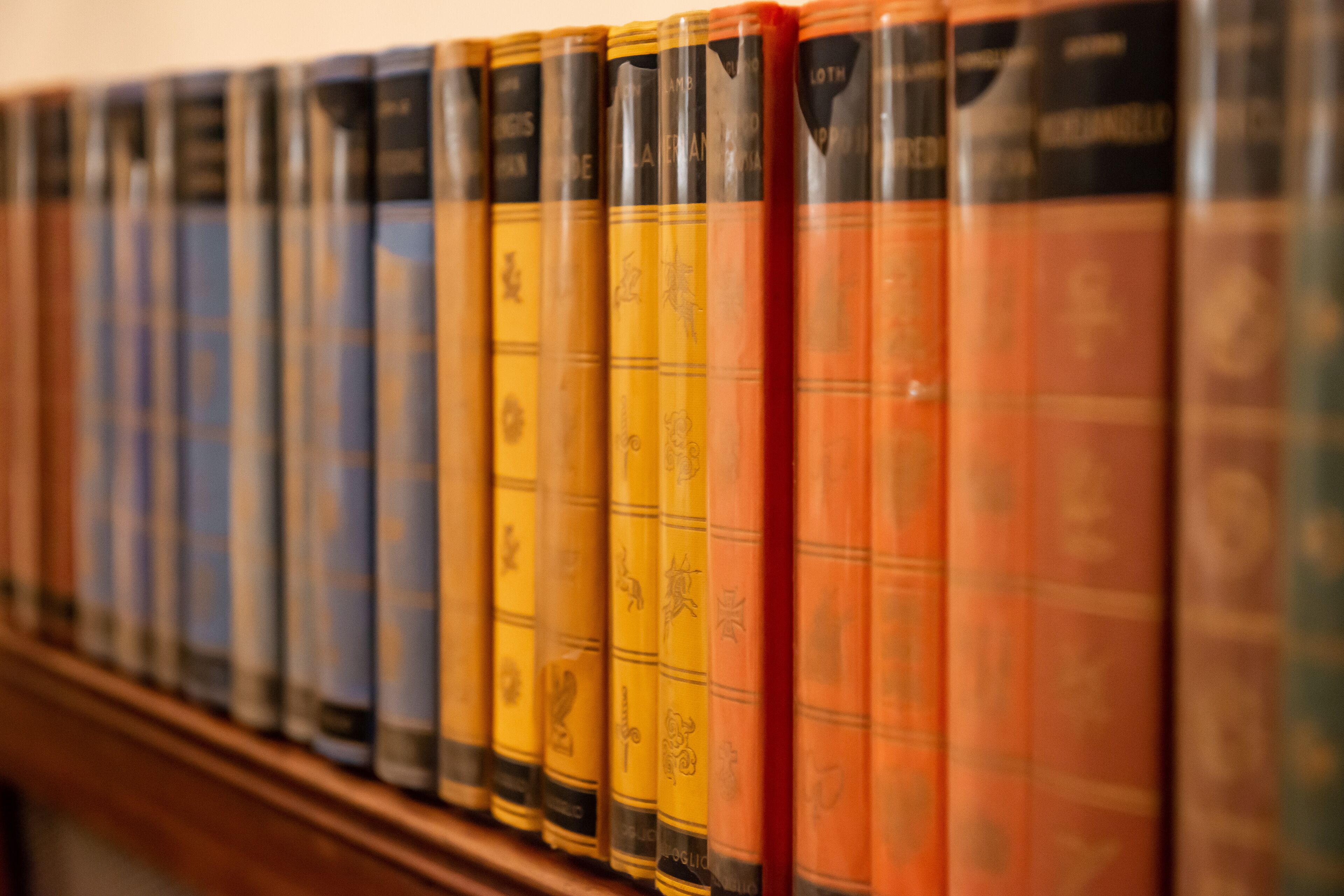 Una fila de libros con los lomos hacia afuera, mostrando diferentes títulos y autores.