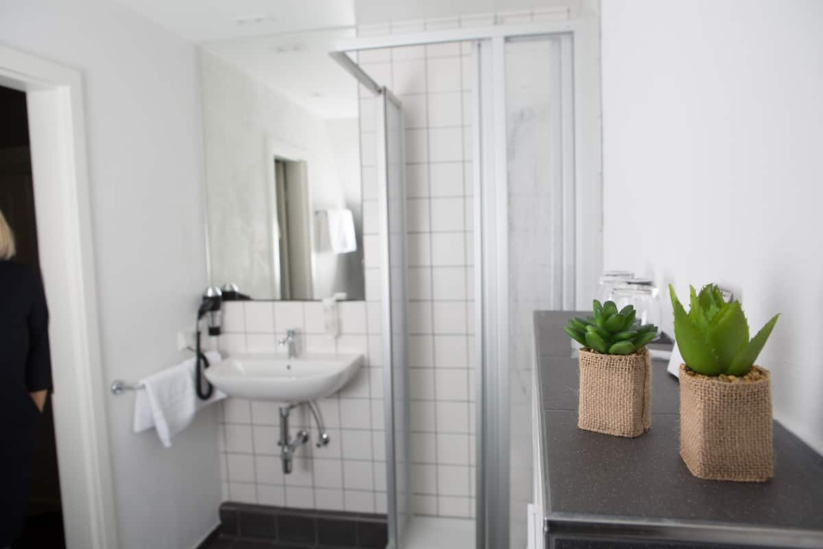 shower, free toiletries, hair dryer, towels