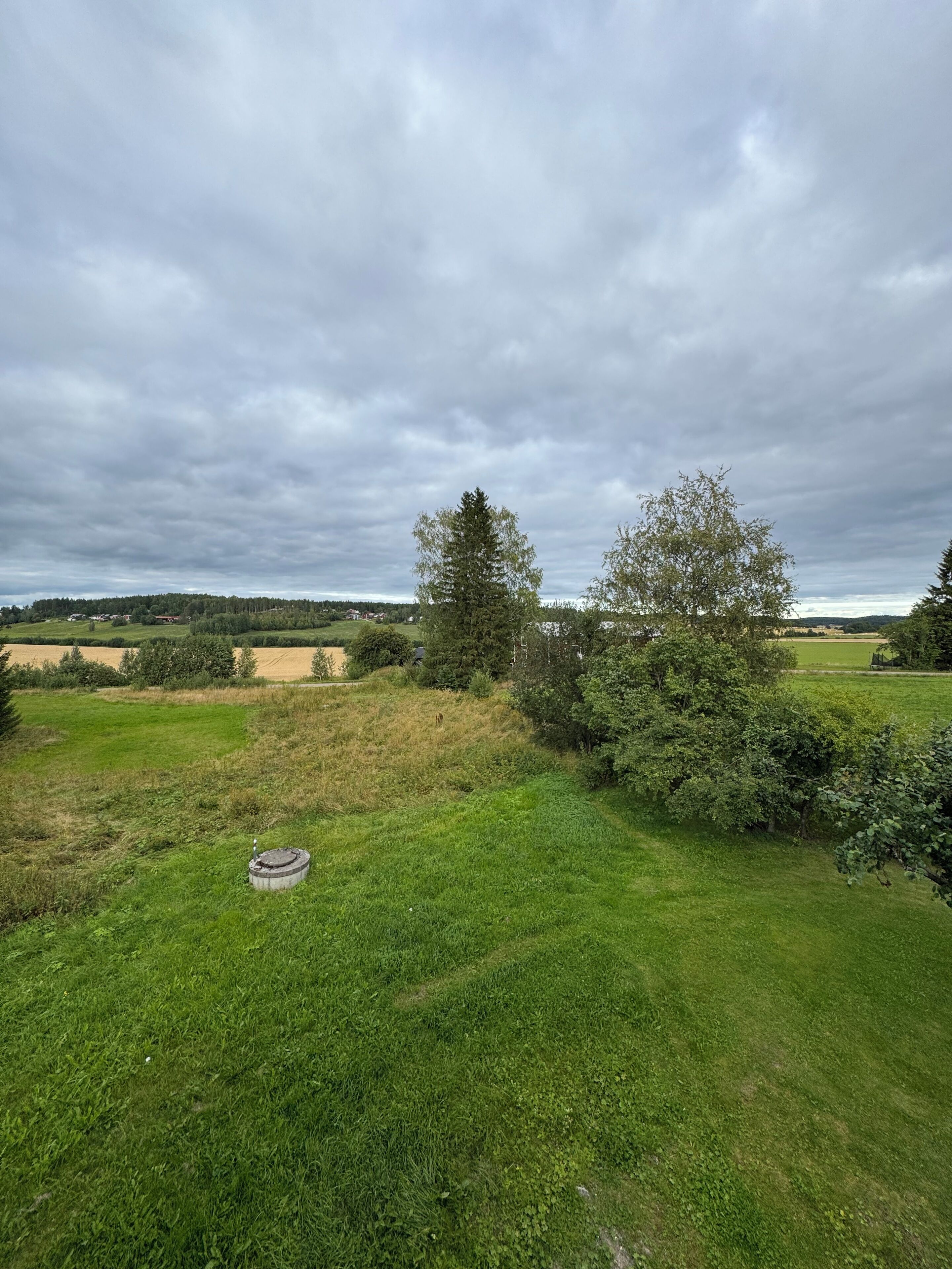A grassy field with a small pond, trees, and distant buildings under a cloudy sky.