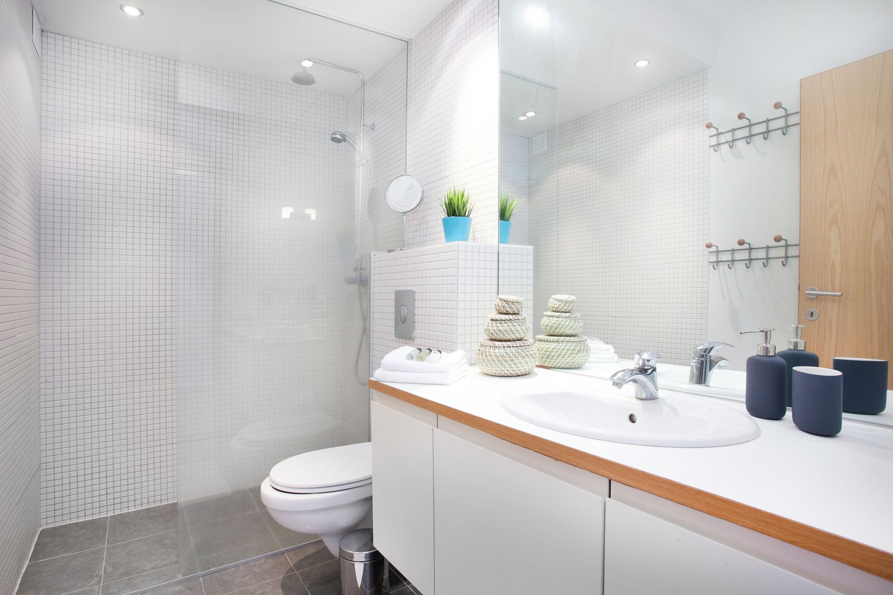 A modern bathroom with a white sink, mirror, and toilet. There are plants on the sink counter and a shower area with a glass door.