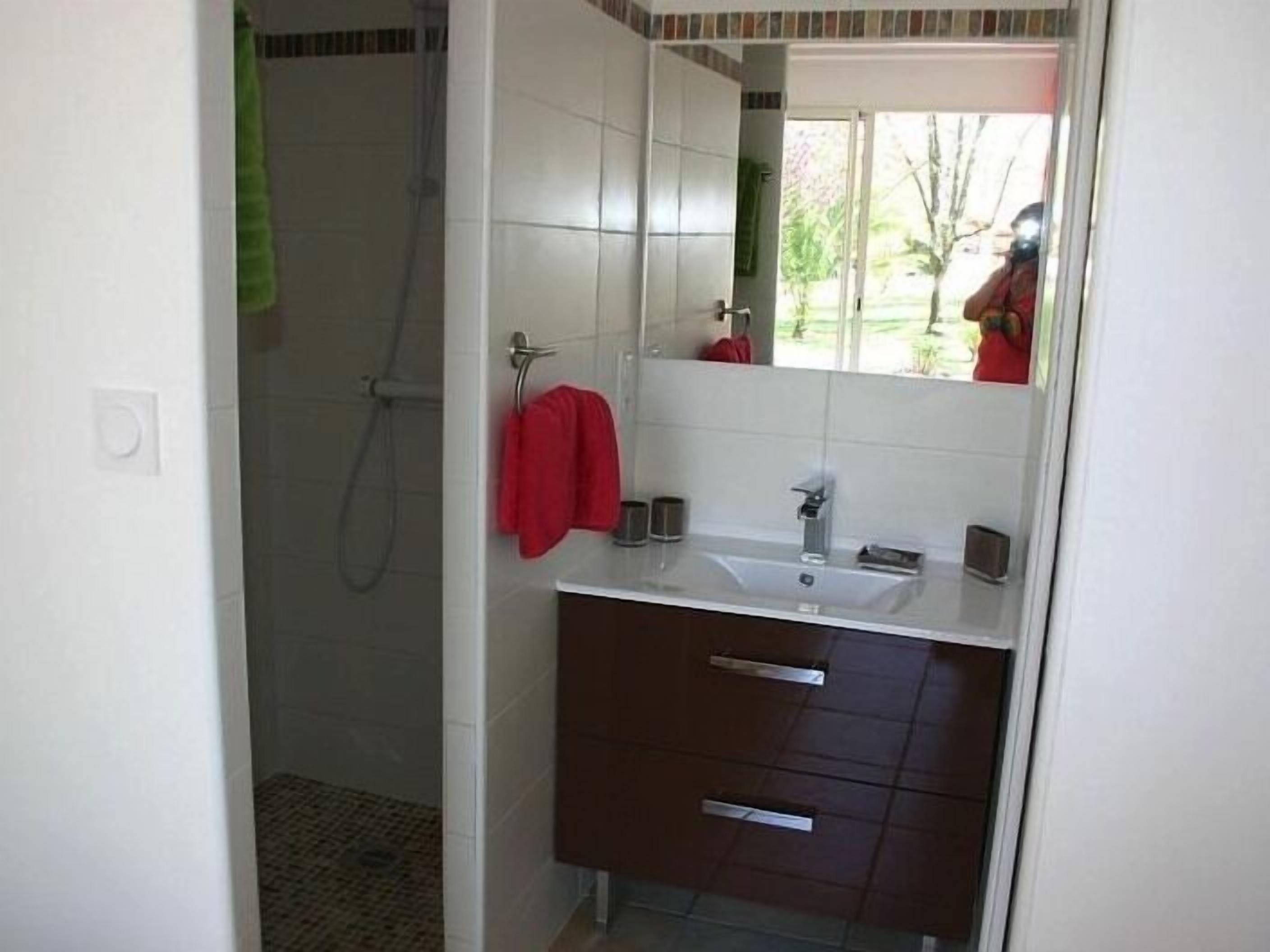 A bathroom with a shower, a sink, and a mirror.