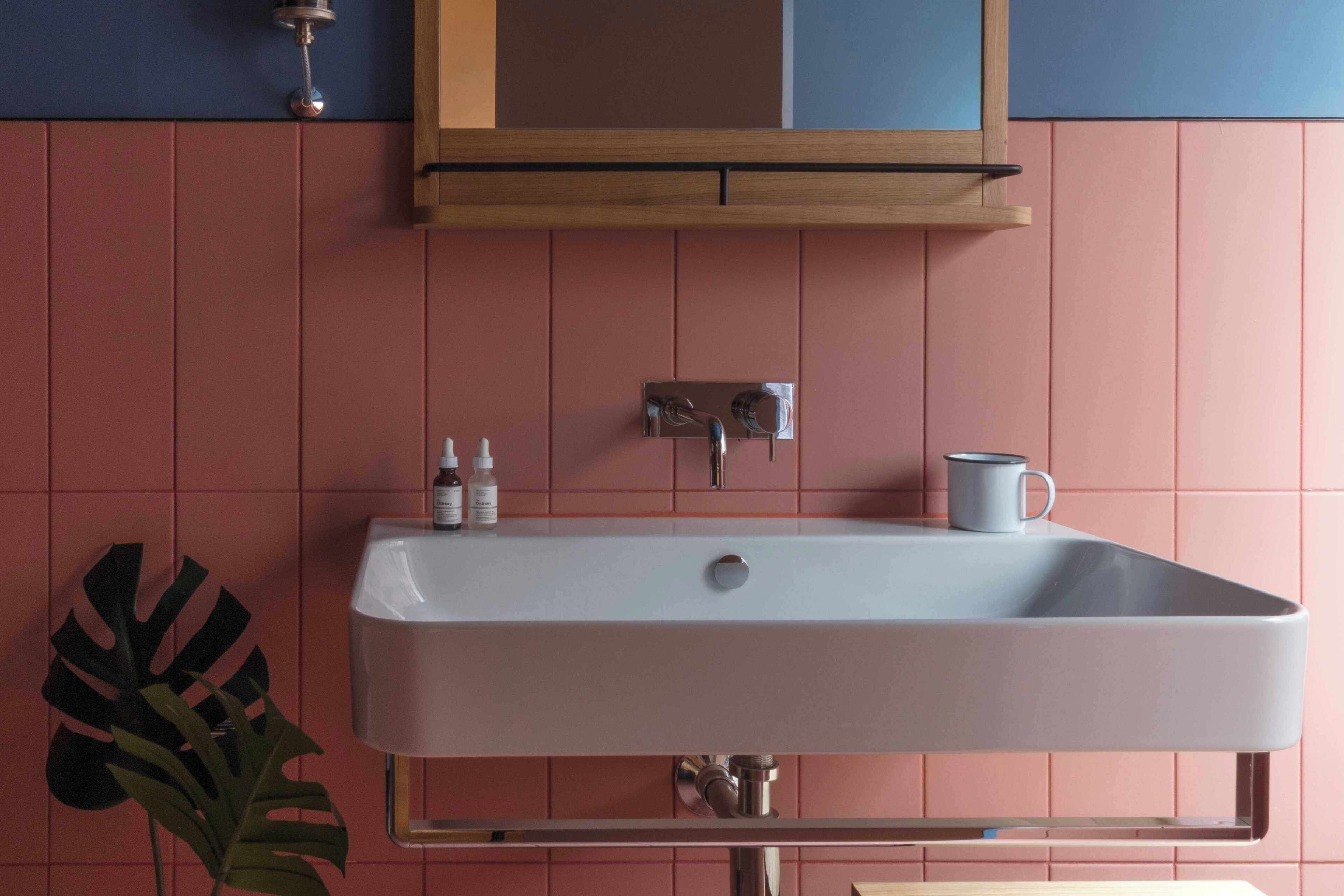 A bathroom with a white sink, a mirror, and a plant.