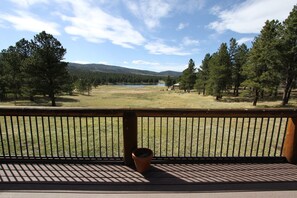 Condo, 4 Bedrooms | View from room