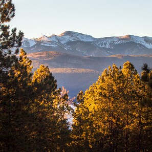 Un paisaje montañoso con picos nevados y un denso bosque en primer plano.