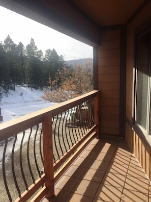 Condo, 2 Bedrooms | View from room - Ski Run (Angel Fire)