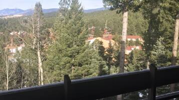 Condo, 2 Bedrooms | Balcony