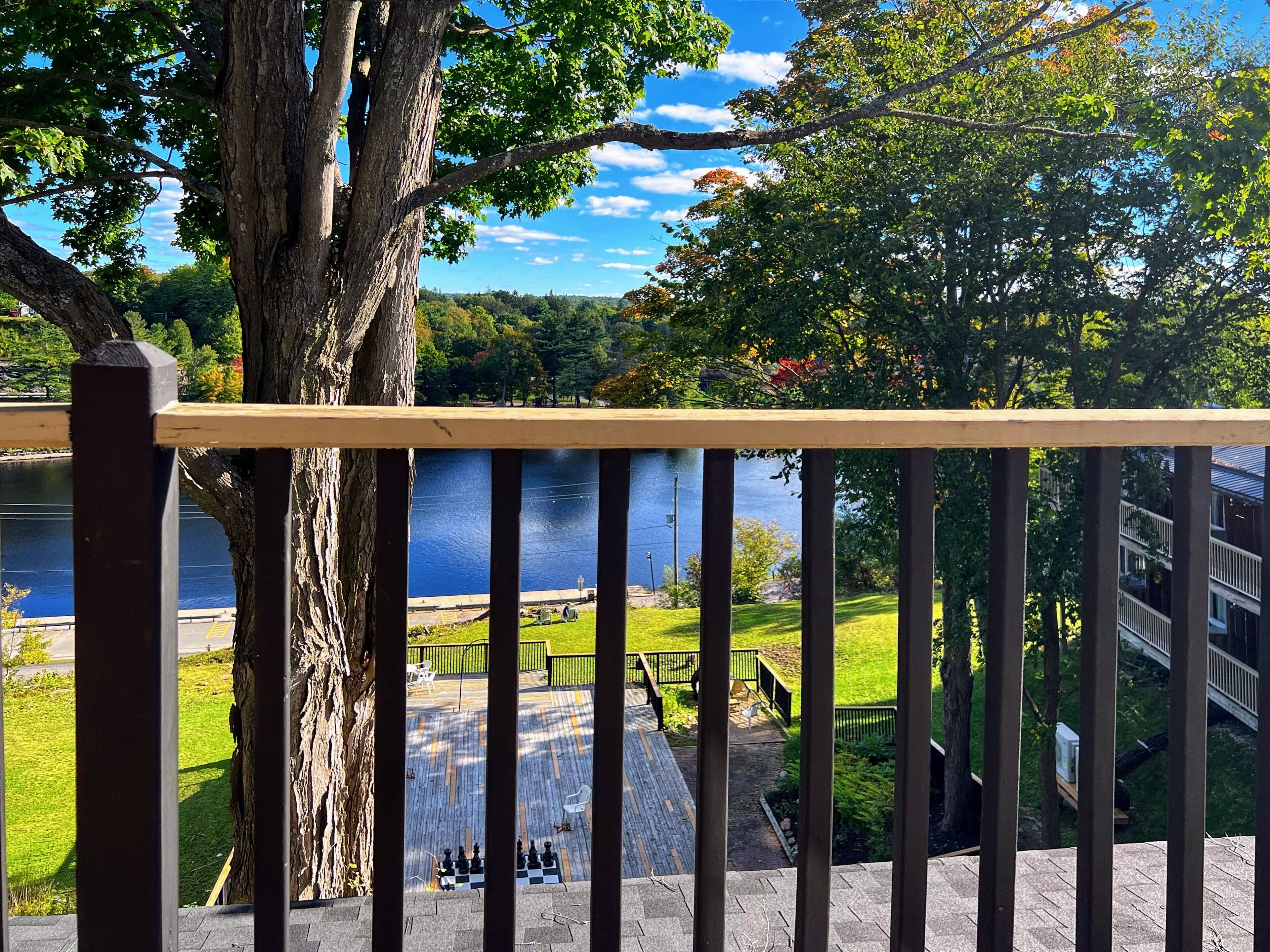 Una terraza de madera con vistas a un lago y follaje circundante.