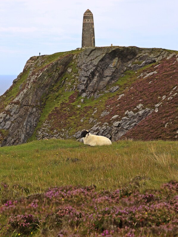 Hiking - The Island Bear B&B (Islay Island)