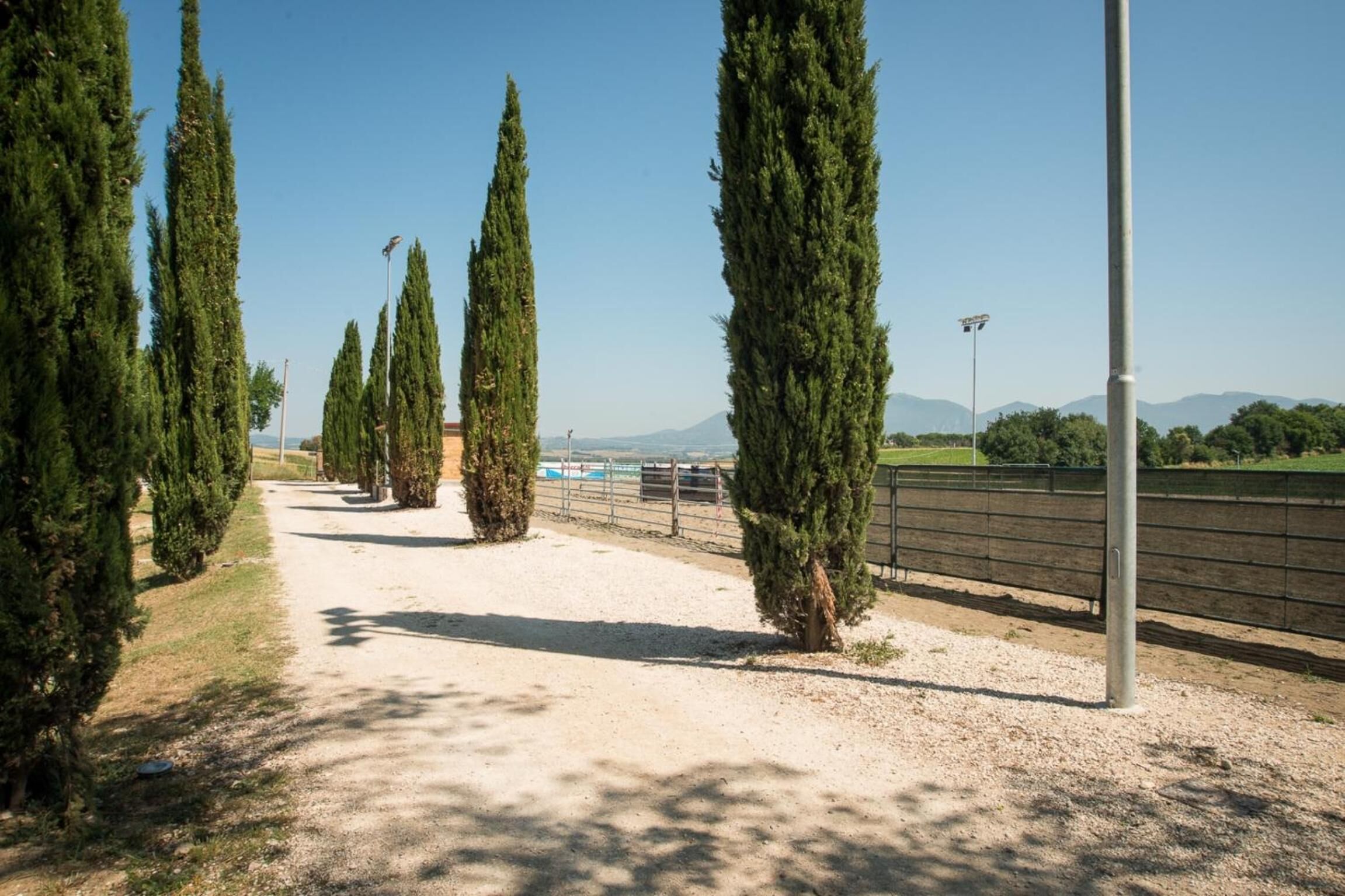 A gravel path flanked by tall cypress trees, leading to a fenced area with a clear view of distant mountains.