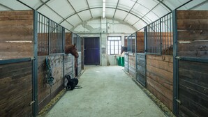 A stable with wooden stalls, metal gates, and a concrete floor. - Fattoria Didattica La Collina Incantata (Narni)