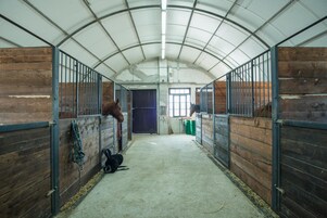 Cribs/infant beds, free WiFi, bed sheets, wheelchair access