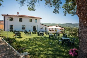 Lunch and dinner served