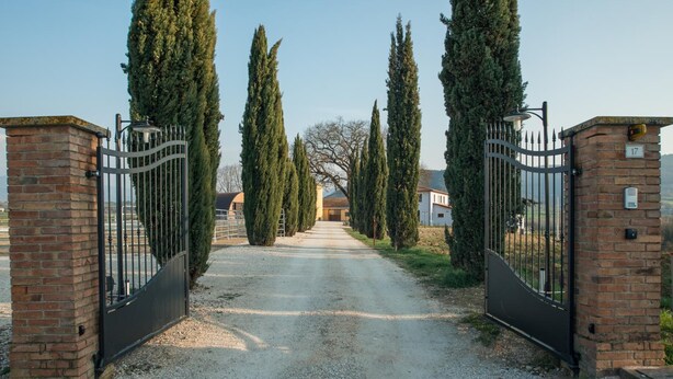 A gravel driveway leading to a gated entrance with tall cypress trees on either side. - Fattoria Didattica La Collina Incantata (Narni)