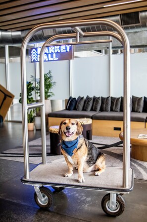 Pet-friendly - The Source Hotel (Denver)