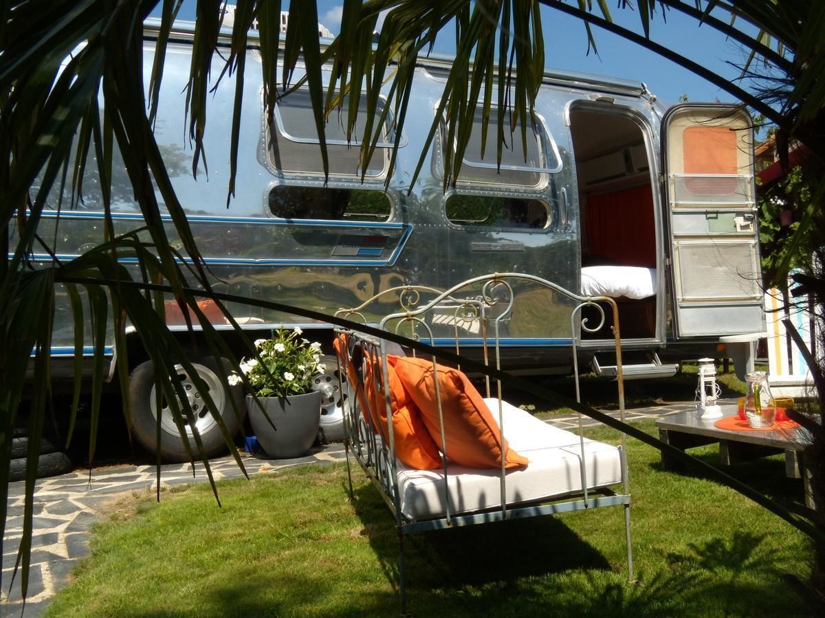 洋房 | 露台/庭院