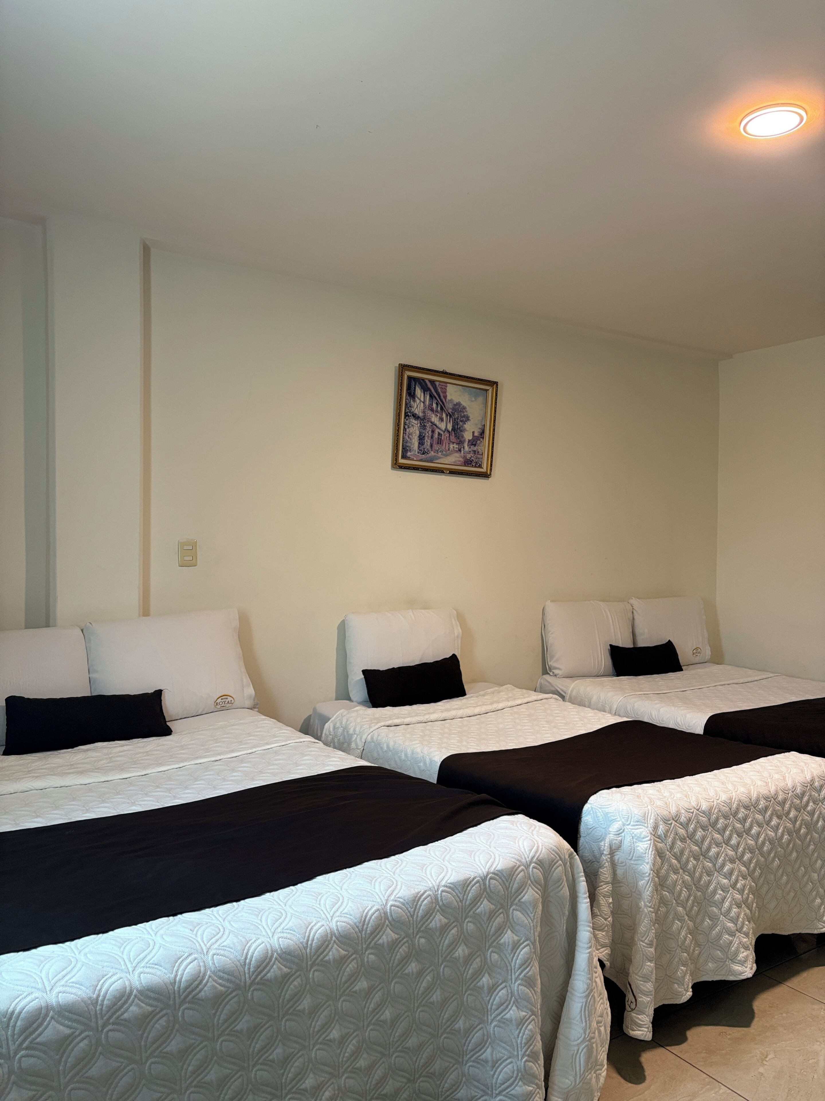Basic Triple Room, Multiple Beds (Plus) | Iron/ironing board, free WiFi, bed sheets