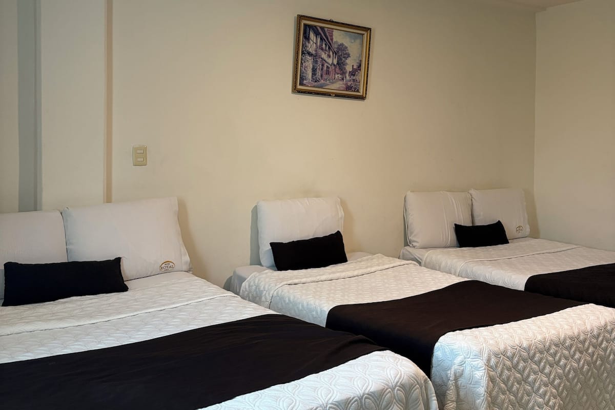 Phòng 3 cơ bản, nhiều giường (Plus) | Bàn ủi/dụng cụ ủi quần áo, truy cập Internet không dây miễn phí