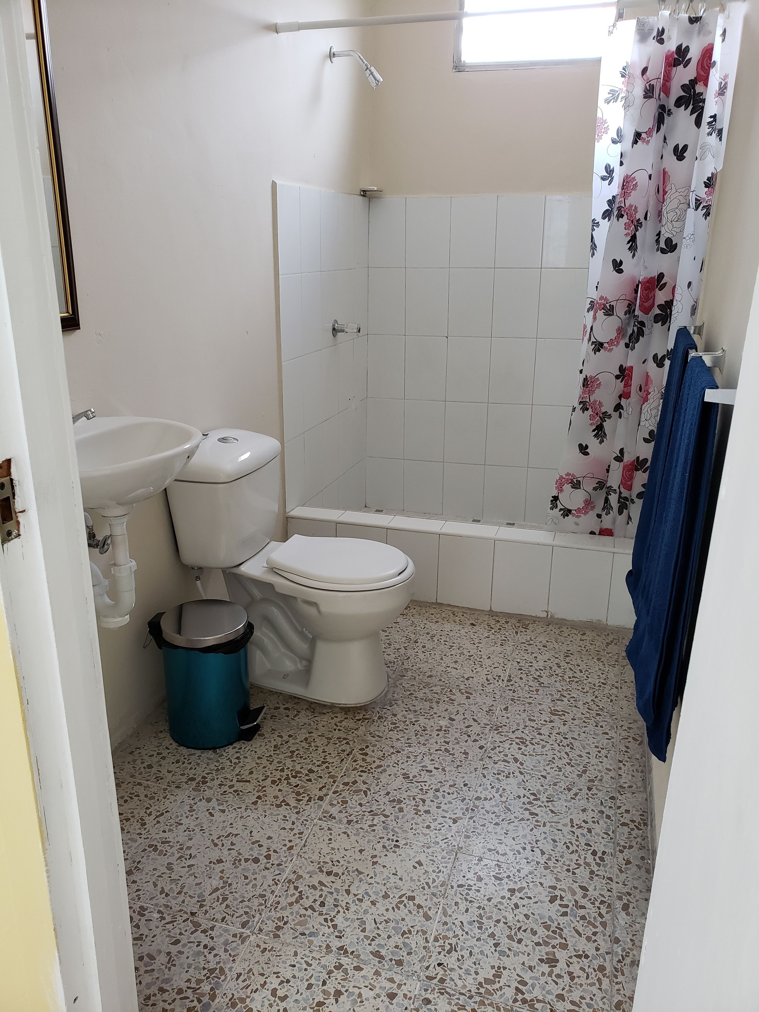 basic double room, 1 queen bed, non smoking | bathroom | shower, free toiletries