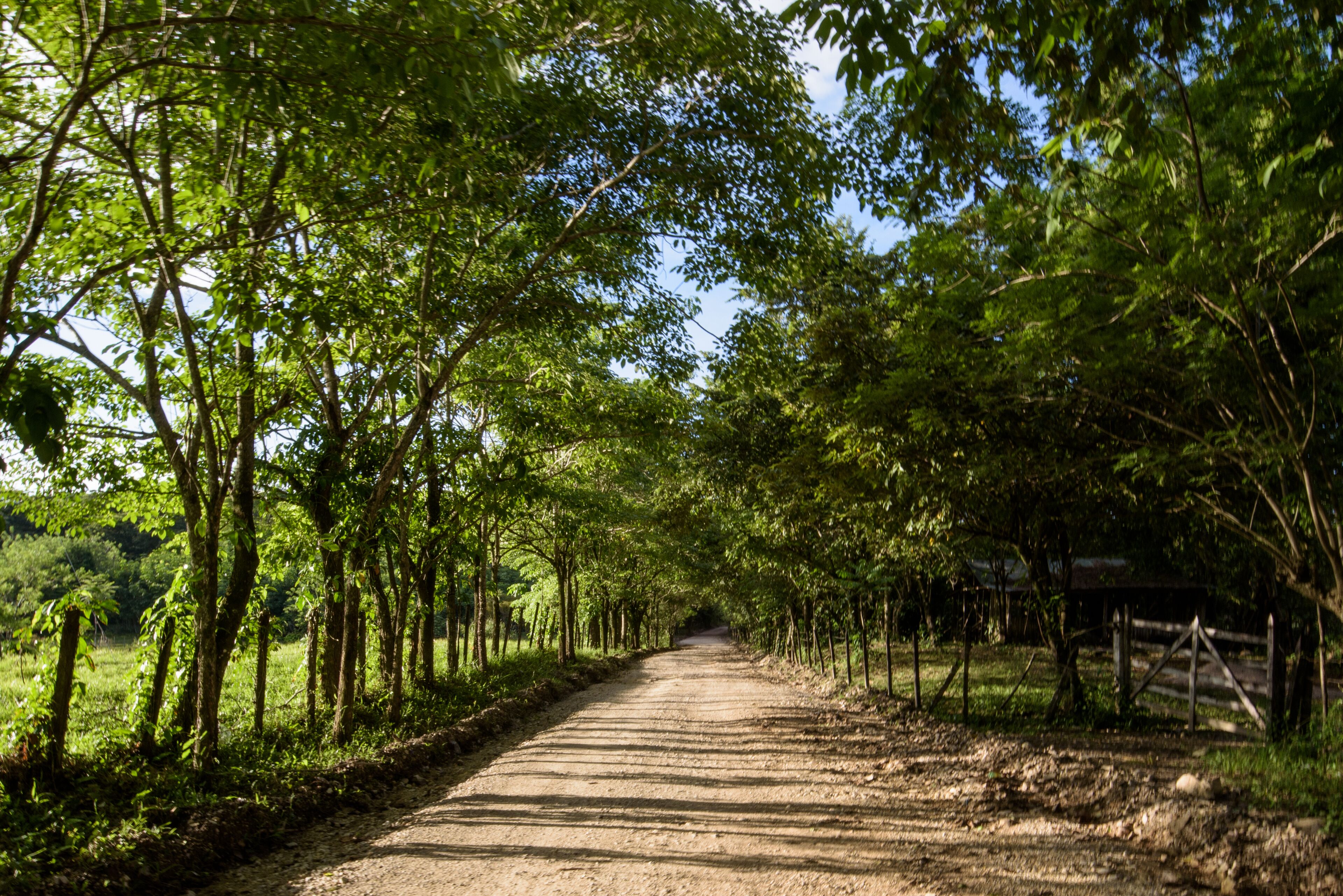 Foto - Villas Adriana, Palenque