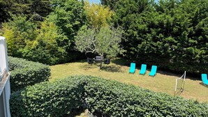 Un jardin avec une pelouse, un arbre et trois chaises longues bleues.