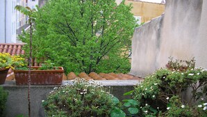 Un jardín en la azotea con plantas en macetas y un árbol.