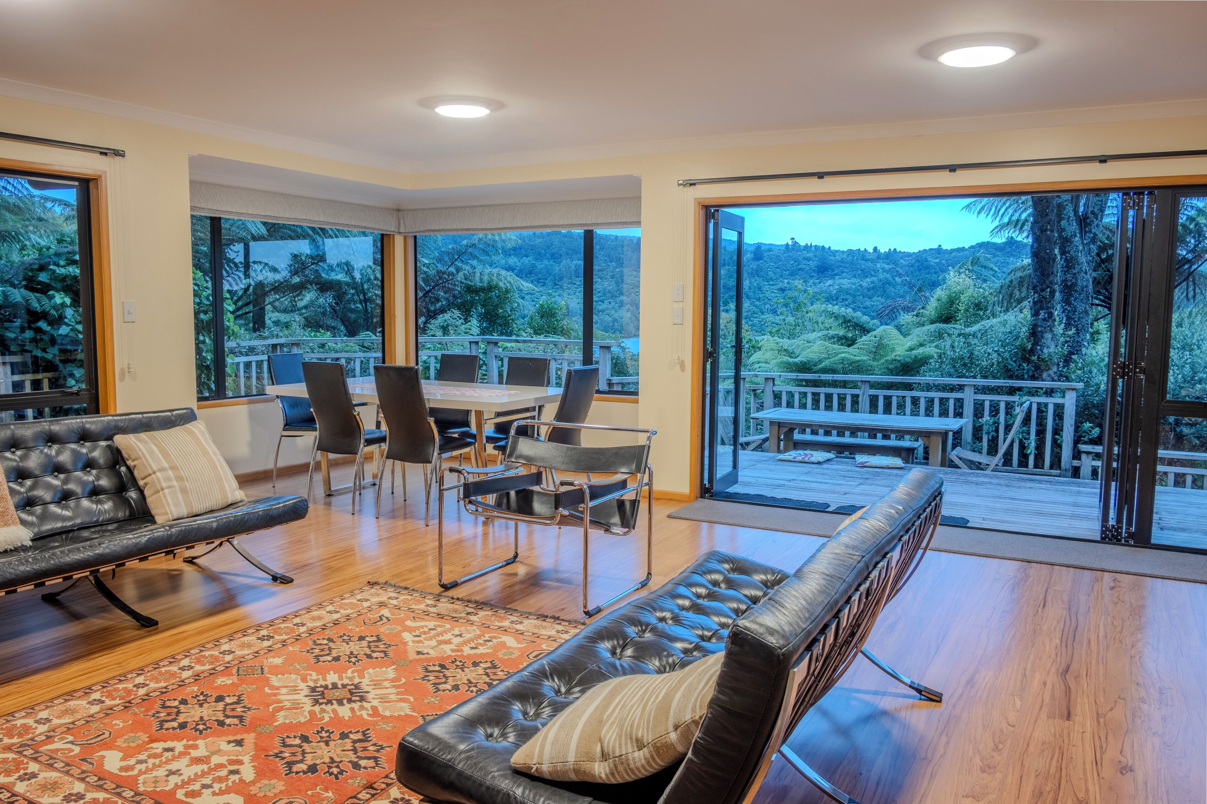 TV connectée, cheminée, Netflix, lecteur de DVD