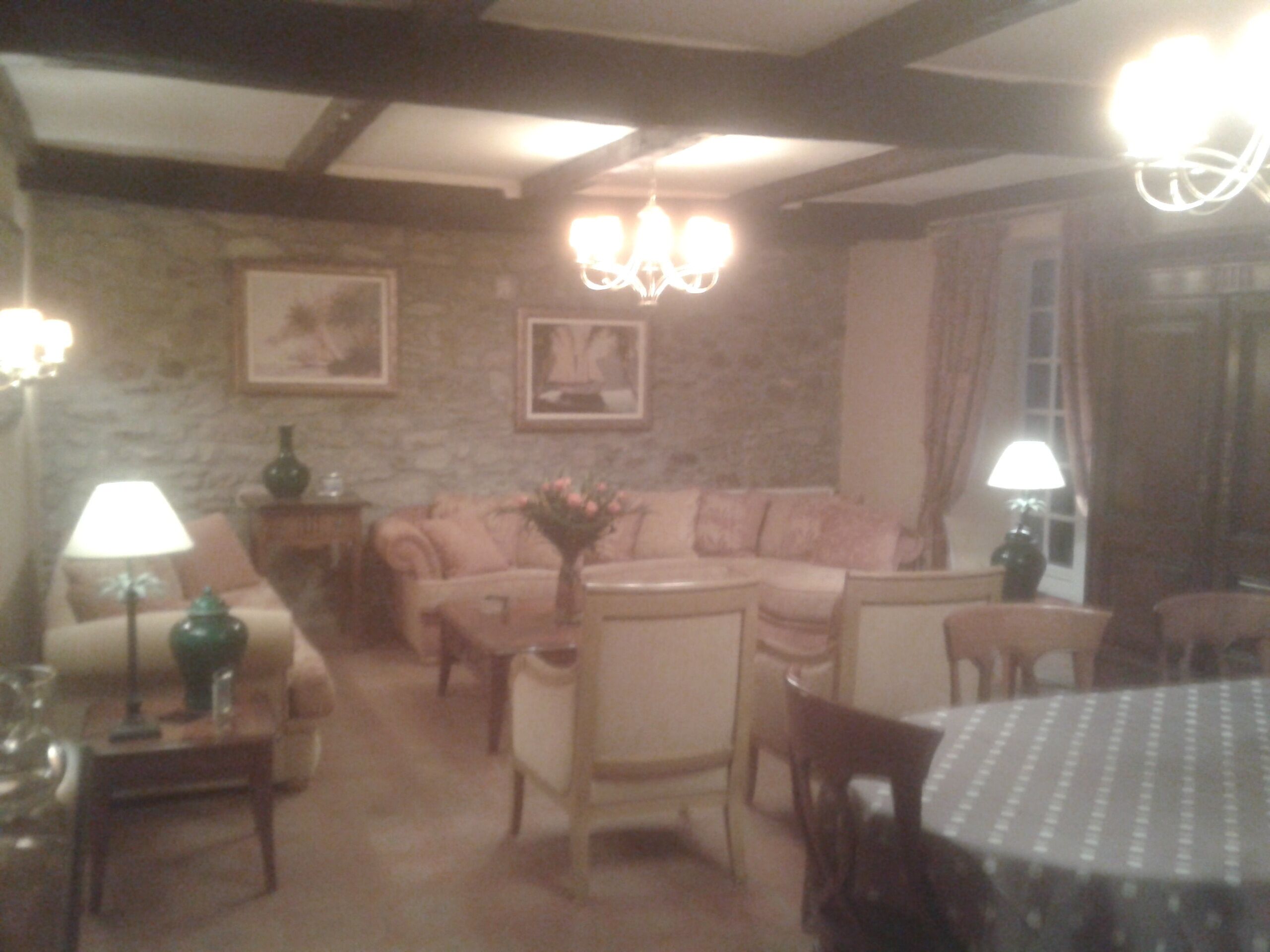 A cozy living room with a stone wall, a pink sofa, a dining table with chairs, and a chandelier.