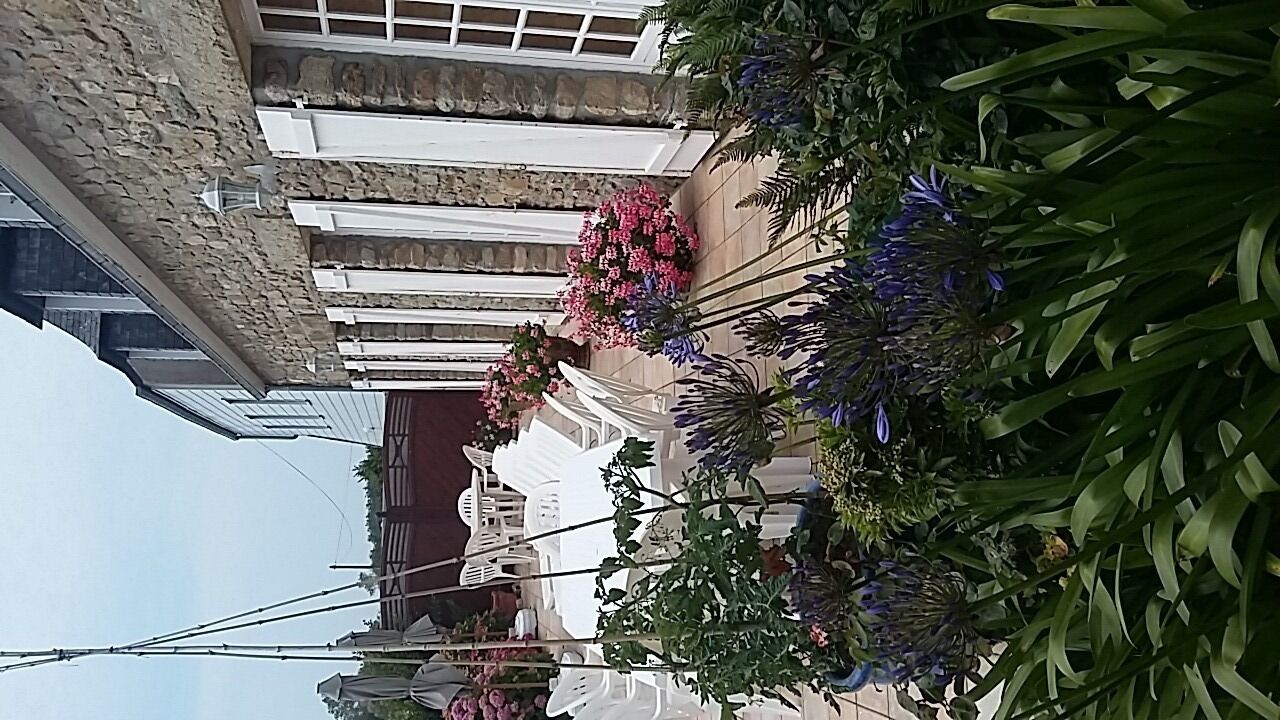 Espace banquet en plein air