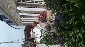 Ein Innenhof mit einem Steinhaus, weißen Stühlen und verschiedenen Pflanzen.