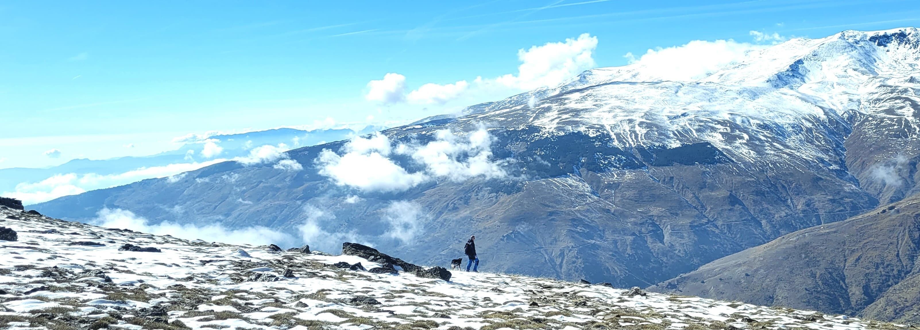 A mountainous landscape with a person and a dog on a snow-covered path.