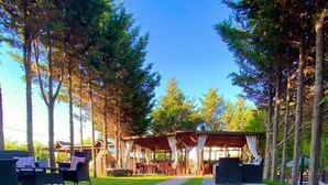Un espace extérieur aménagé, abrité et doté de tables et de chaises, entouré d’arbres et d’une pelouse bien entretenue.