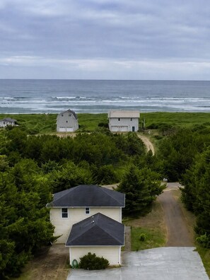 A coastal property with a road leading to a house surrounded by dense greenery.