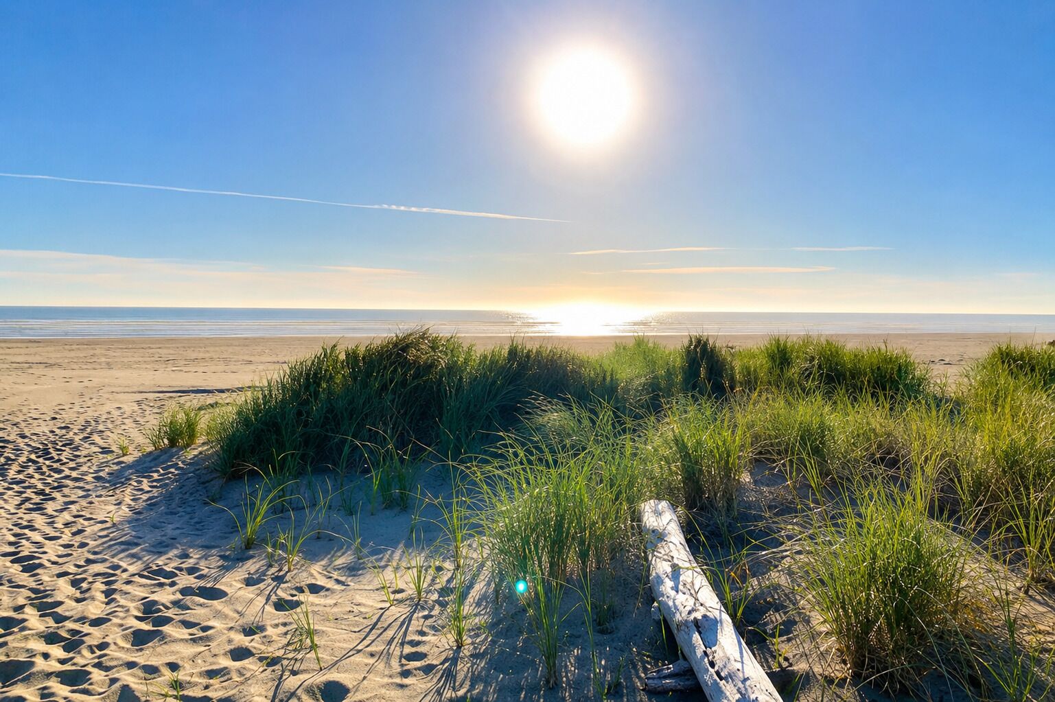 A beach with sand, grass, and a wooden fence.