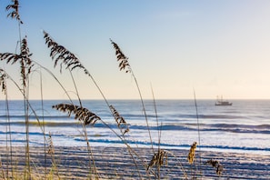 Plage à proximité