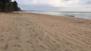 Une plage de sable avec des empreintes et des palmiers en arrière-plan.