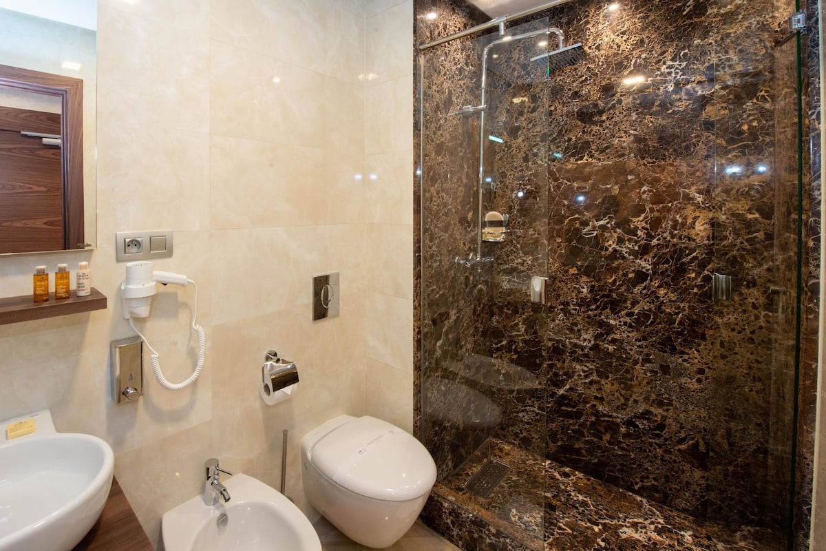 shower, rainfall showerhead, free toiletries, hair dryer