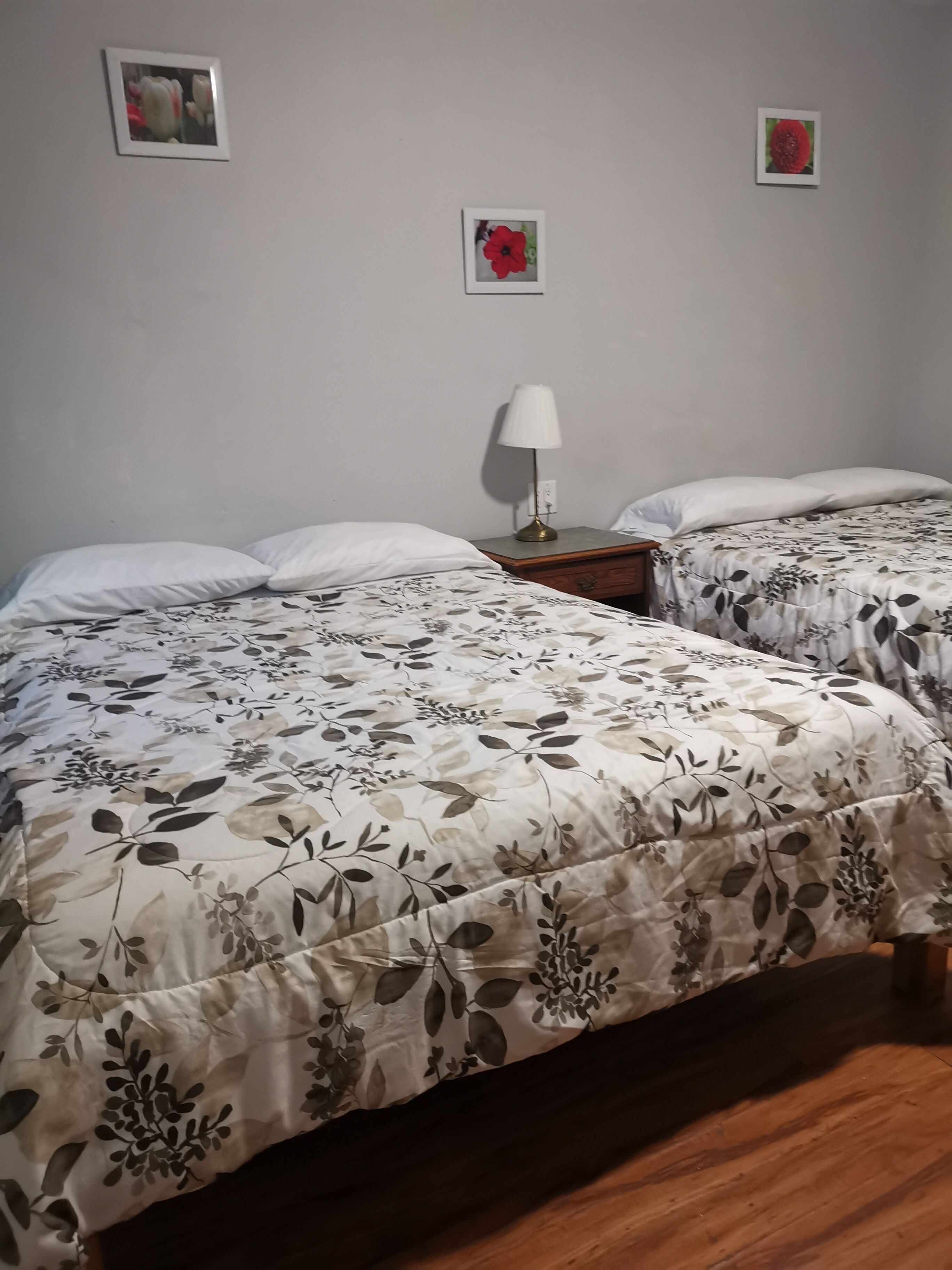 Family Double Room, 2 Queen Beds, Non Smoking | Free WiFi, bed sheets