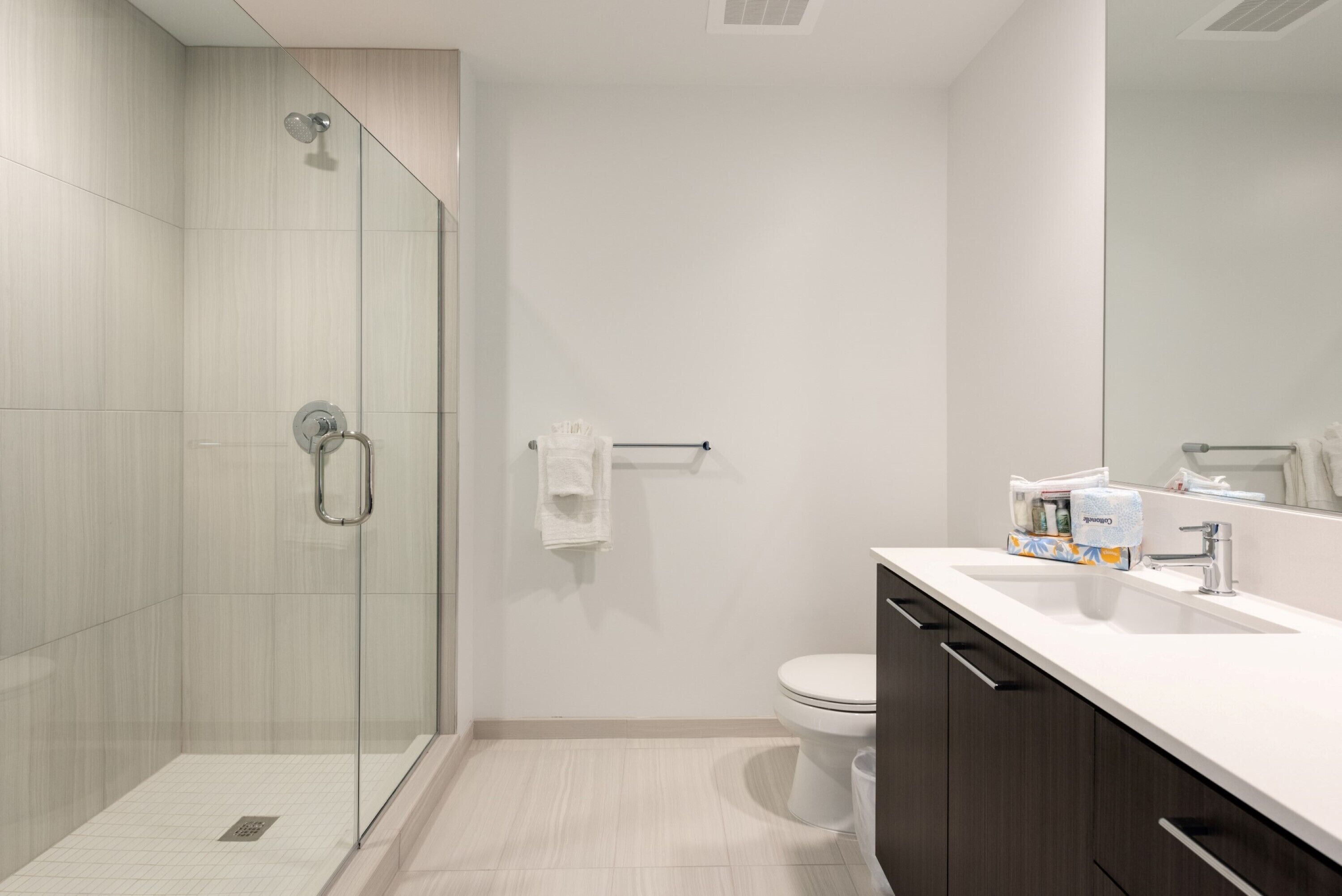 A modern bathroom with a glass shower enclosure, a toilet, and a vanity with a mirror.