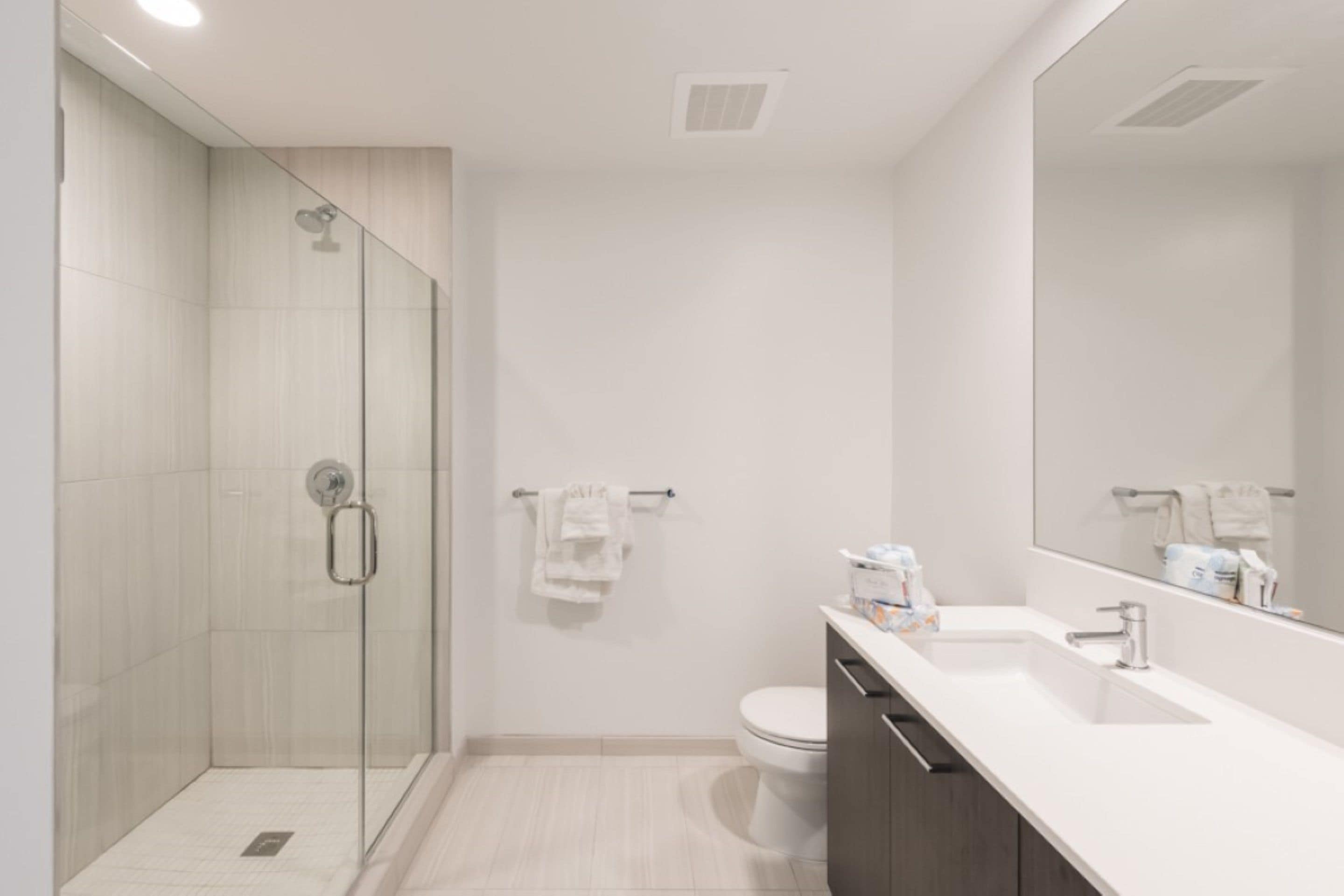 A modern bathroom with a glass shower enclosure, a toilet, and a vanity with a large mirror.
