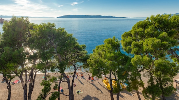Una playa con pinos, mar azul cristalino y montañas a lo lejos.