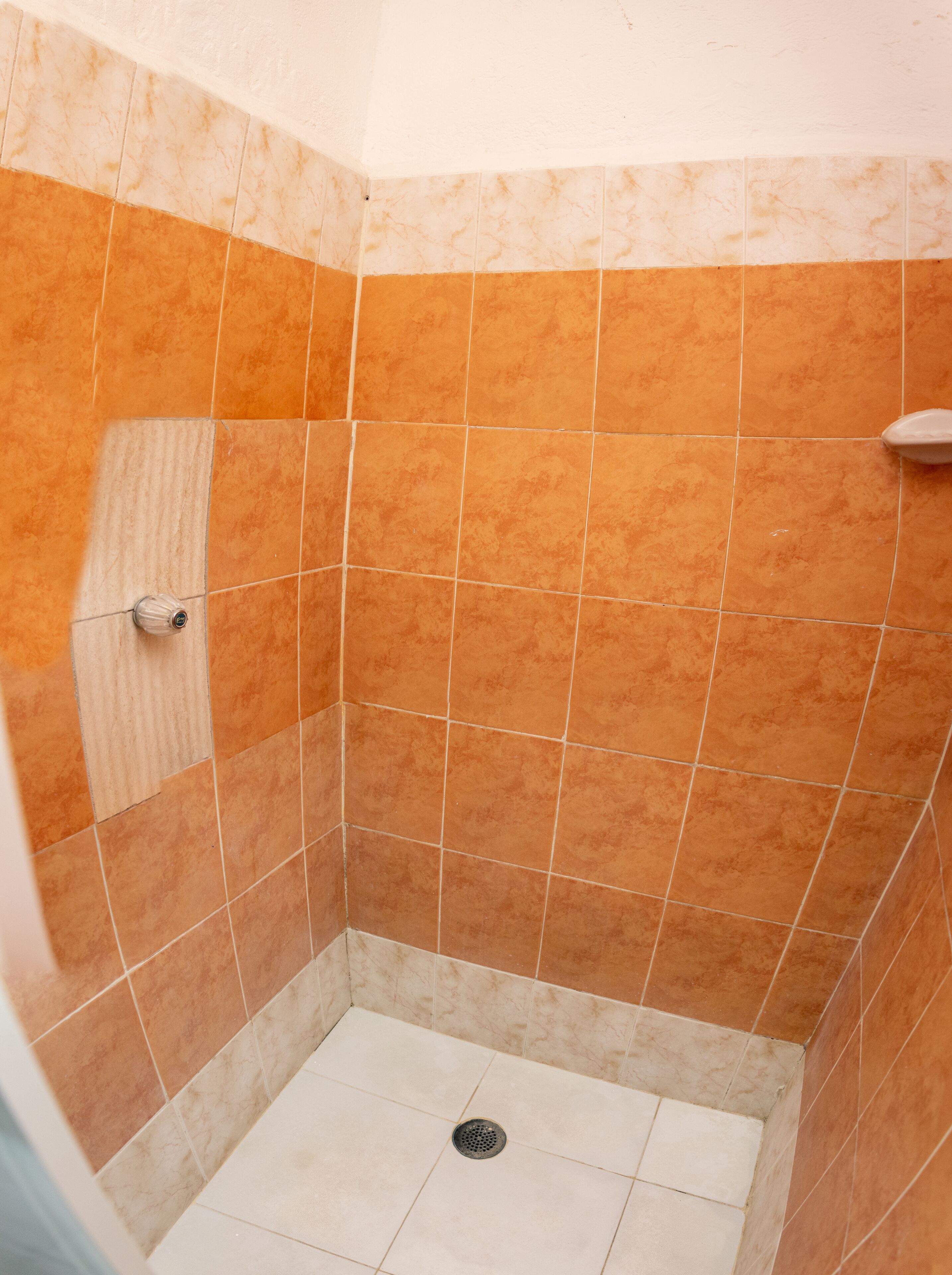 Photo - Hotel The Dolphin