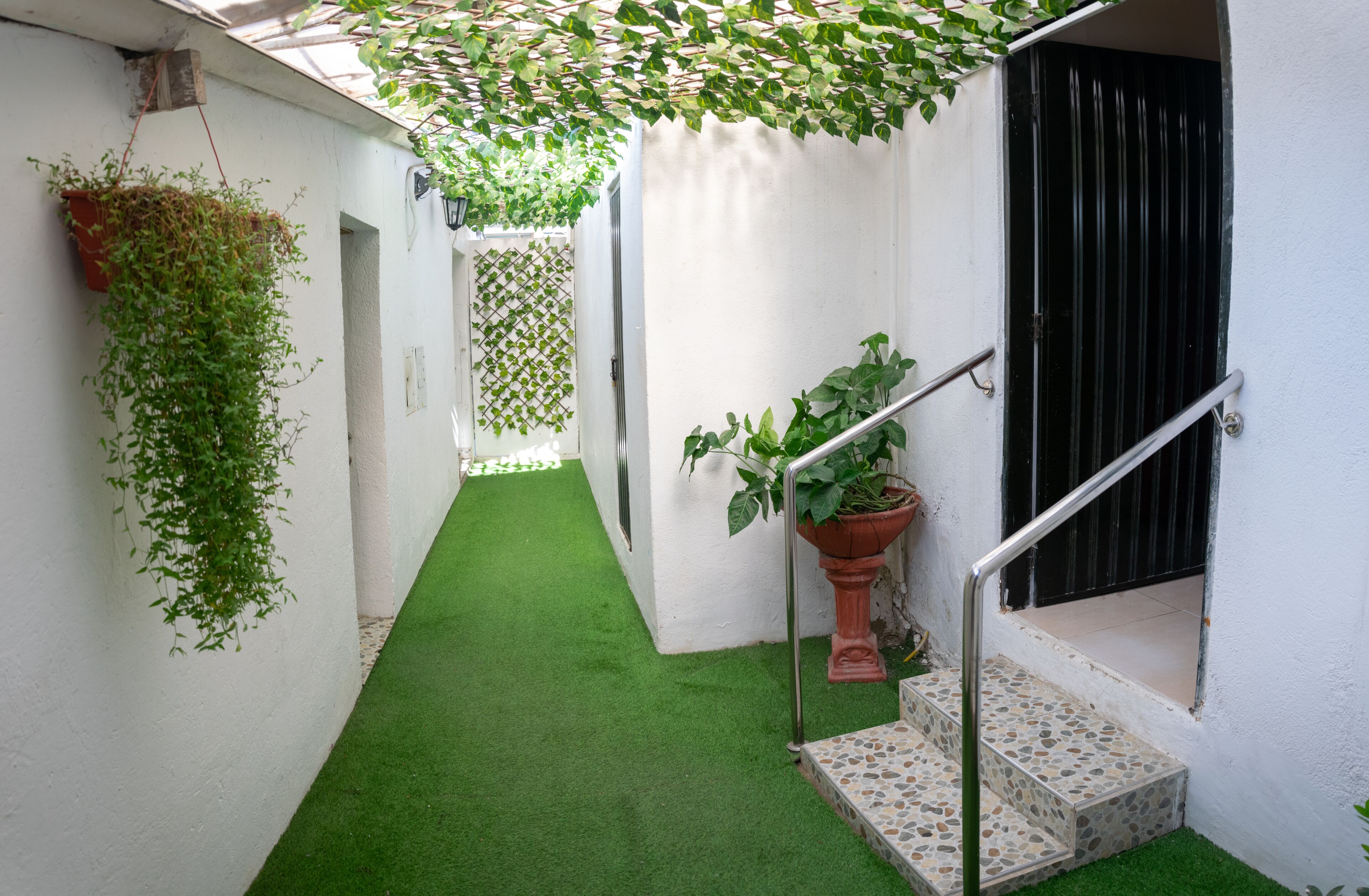 Photo - Hotel The Dolphin